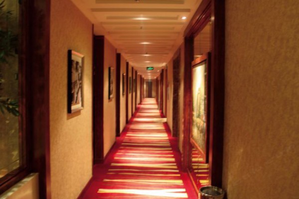 成都中村新区夜市养生休闲指南(成都成中村)